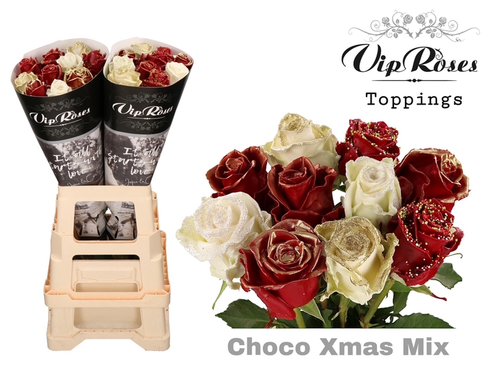 R GR CHOCO XMAS MIX x20
