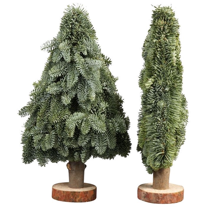 <h4>Kerstboom Plat L060</h4>