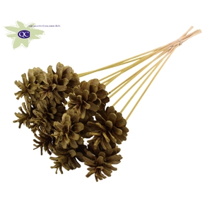 Pine cone 5-7cm on stem Intense Olive