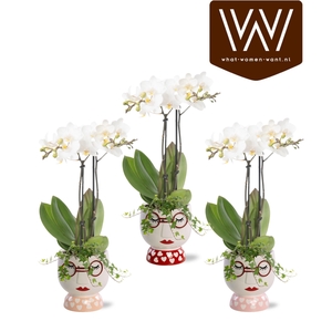 Collectie 'Special Moods' - Arrangement in keramiek Steffie