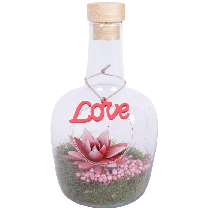 <h4>Valentine Arr. Succulent Glass Vase With Hole Ø15cm 1PP</h4>
