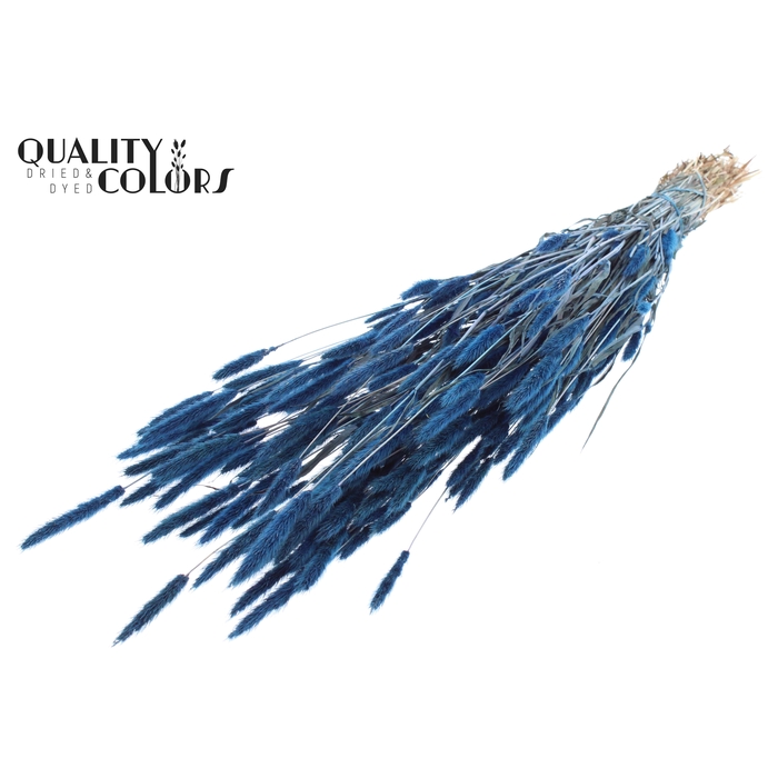 <h4>Polypogon per bunch Dark Blue</h4>