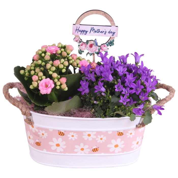 <h4>Mothersday Arr. Indoor Zinc White + Flowers & Bees Ø19cm 2PP</h4>