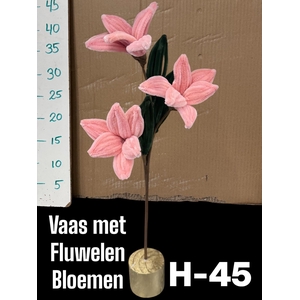 HUIS EN TUINDECO H%