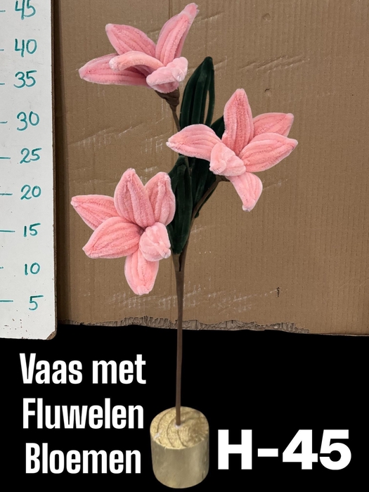 <h4>HUIS EN TUINDECO H%</h4>