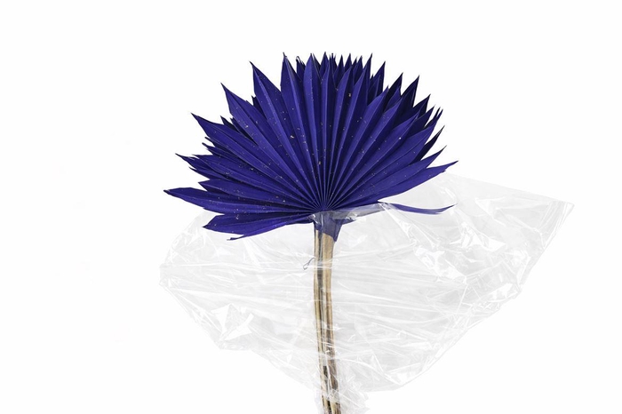 <h4>Dried Palm Sun 6pc Dark Blue Bunch</h4>