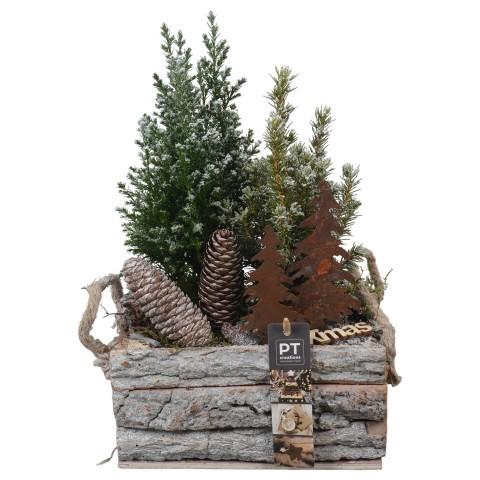 <h4>PTCWW6854 Arrangement Winter in houten bak</h4>
