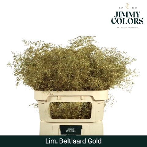 <h4>Lim Bel L90 Metallic gold</h4>