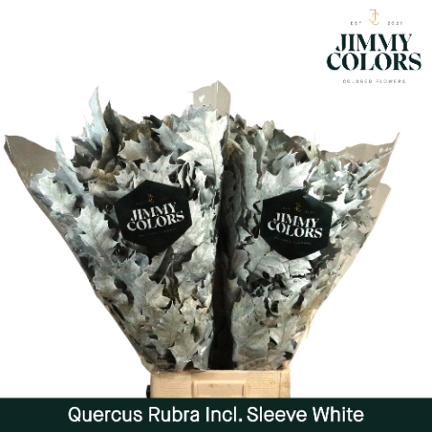 <h4>Quercus Rubra Sleeve L80 White</h4>