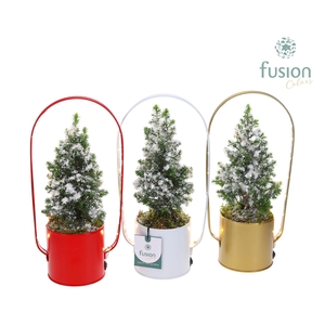 Led planter zink boog Kerst met Top Point