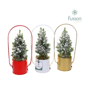 Led planter zink boog Kerst met Top Point