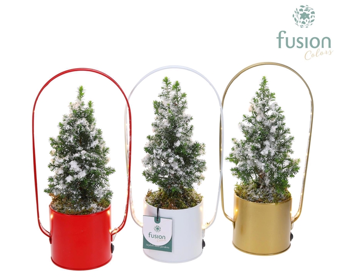 <h4>Led planter zink boog Kerst met Top Point</h4>