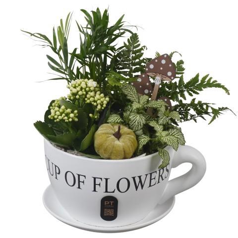 <h4>PTHI3255 Arrangement Autumn Indoor in keramiek kop en schotel</h4>