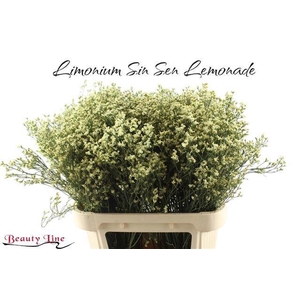 LIM SIN SEN LEMONADE