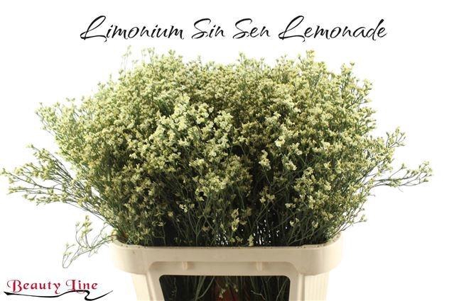 <h4>LIM SIN SEN LEMONADE</h4>