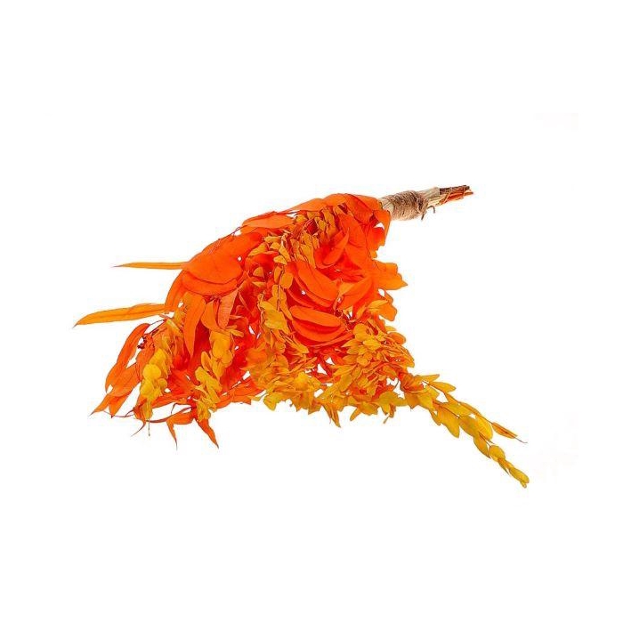 <h4>Bunch Euca Mix Pres. 150gr L65</h4>