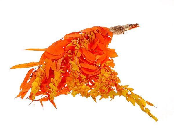 Bunch Euca Mix Pres. 150gr L65