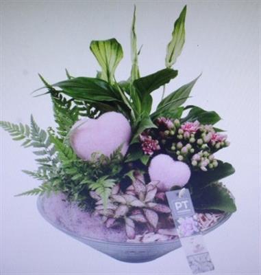 <h4>4976 ROZE GLAS 28</h4>