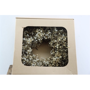 Wr Clematis Naturel 40cm