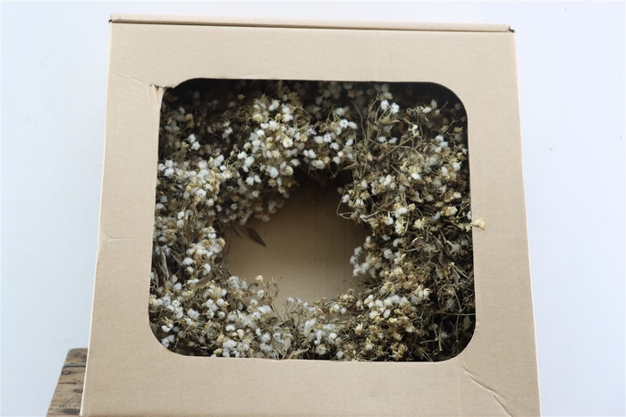 <h4>Wr Clematis Naturel 40cm</h4>