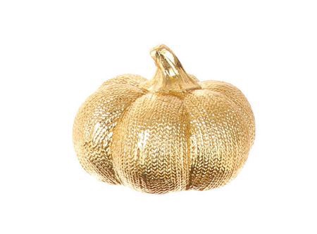 <h4>Pumpkin Latrel H11d14</h4>