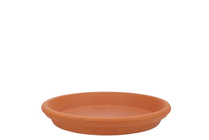 <h4>Terracotta Waterdish D17xh3cm</h4>