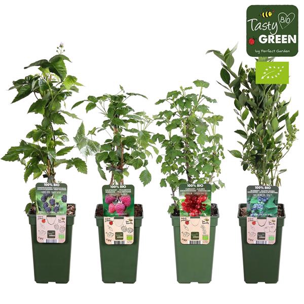 <h4>Fruit mix tray bio P19 standaard</h4>