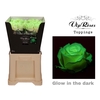 R GR GLOW IN THE DARK X 20