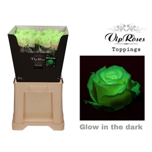 R GR GLOW IN THE DARK