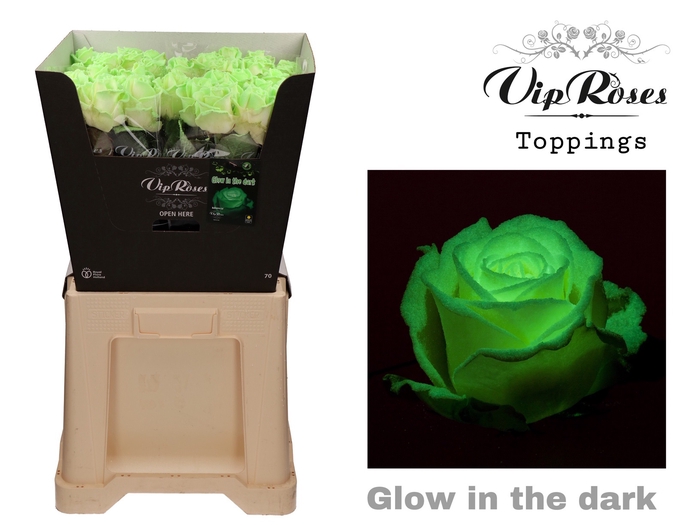 R GR GLOW IN THE DARK X 20