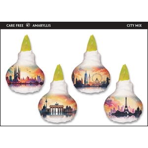 A.BULB of Art - 36cm City Mix