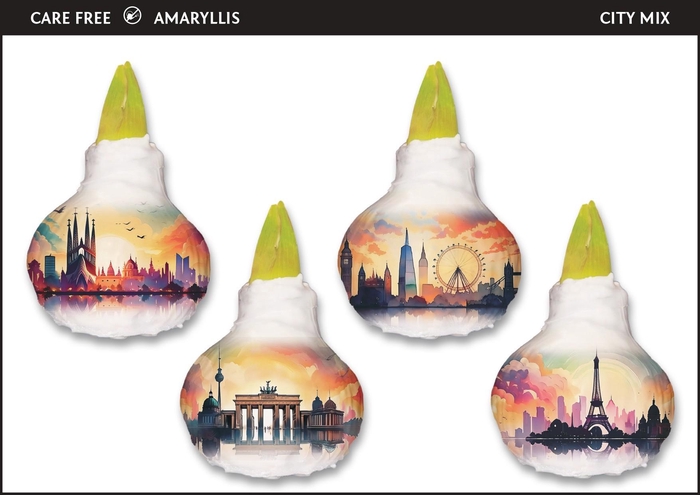<h4>A.BULB of Art - 36cm City Mix</h4>