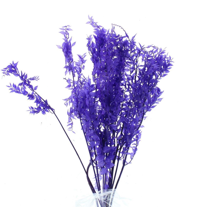 <h4>Pres Ruscus Soft Bleached Lavendel Per Stem</h4>