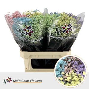 Gyps Grof Pastel Mix