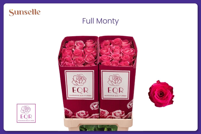 <h4>R GR FULL MONTY!</h4>