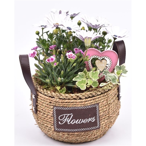 <h4>Touw mand "flowers" 20cm</h4>