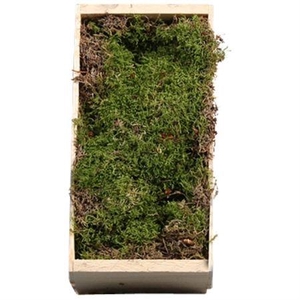 PLATMOS HOUTEN KIST KLEIN
