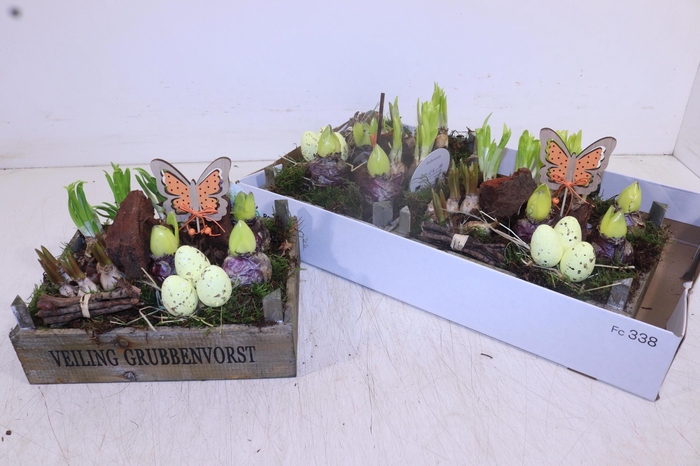 <h4>ARR BOL KNOLGEWAS</h4>