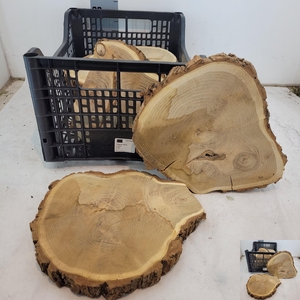 Houten Schijf Berk D20