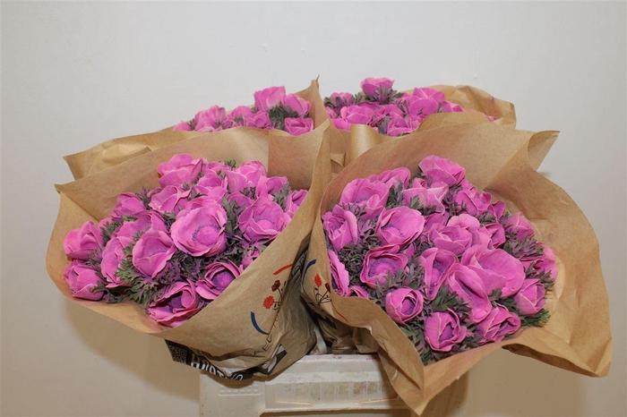 <h4>Anem Marianne Powder Fuchsia</h4>