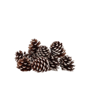Nature Maritima St Washed Whte Small P/50 5-9cm