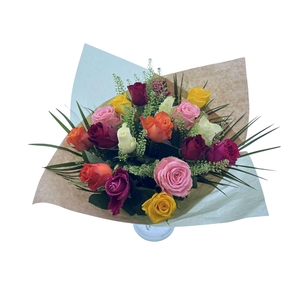 BQ Rosa medium Mixed