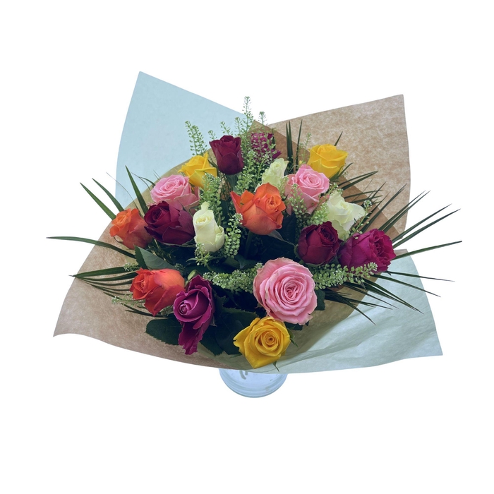 <h4>BQ Rosa medium Mixed</h4>