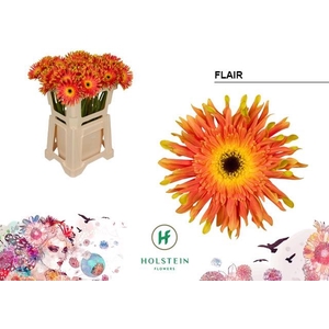 GE KV GERPASTA FLAIR