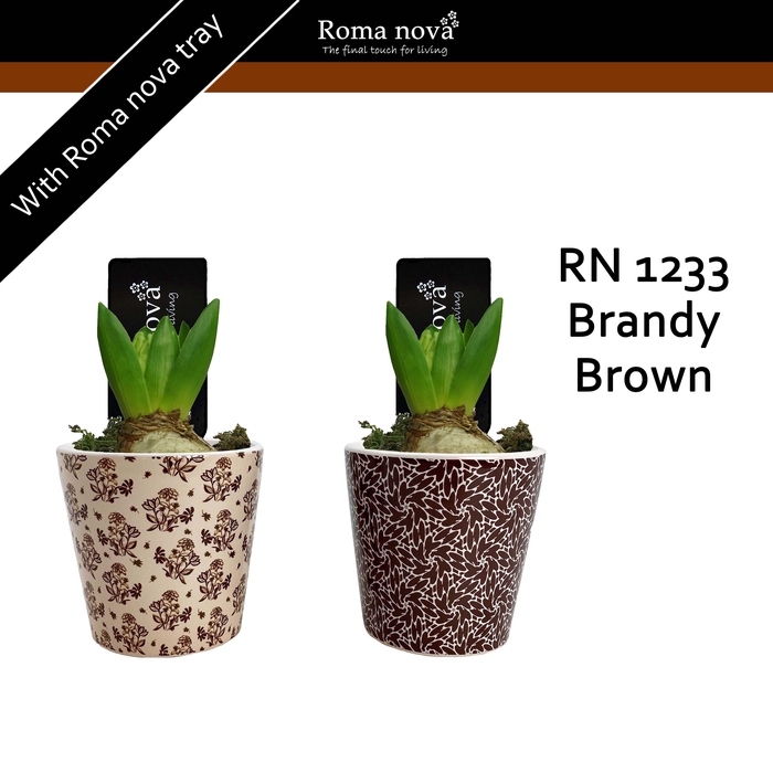 <h4>Hya Rom 1233 Brandy Brown</h4>