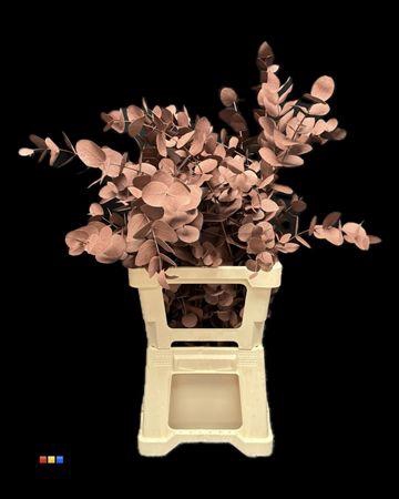 <h4>Cinerea Choco Brown</h4>