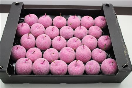 <h4>Waxappel Glitter Fuccia</h4>