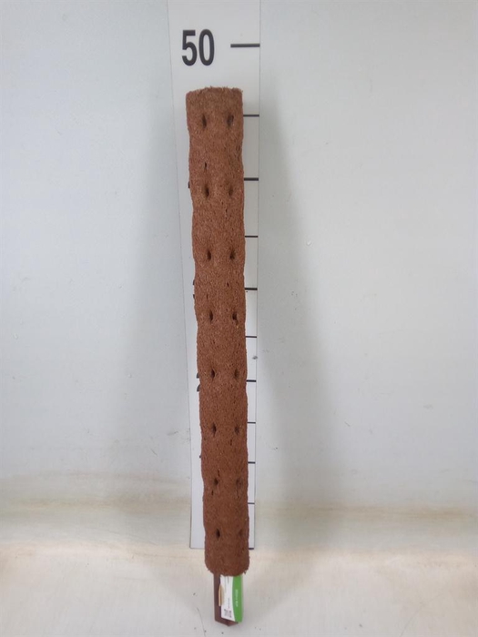 <h4>Decoratie  ..Klimstok composteer H%</h4>