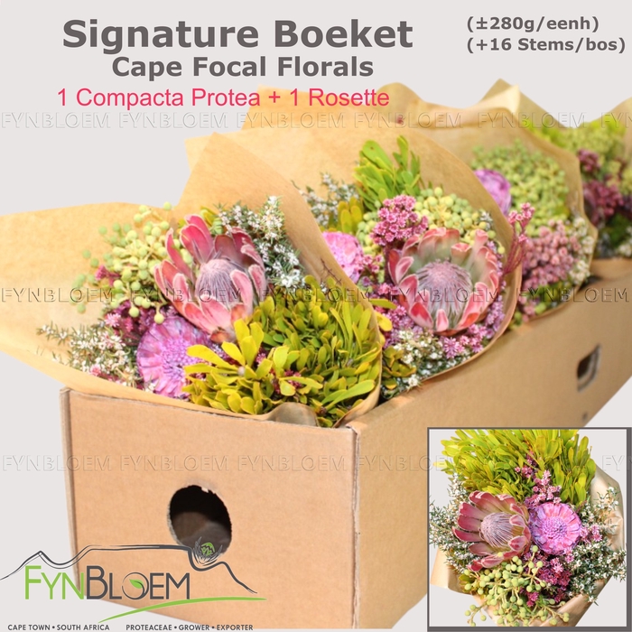 <h4>PROTEA PER BOS</h4>