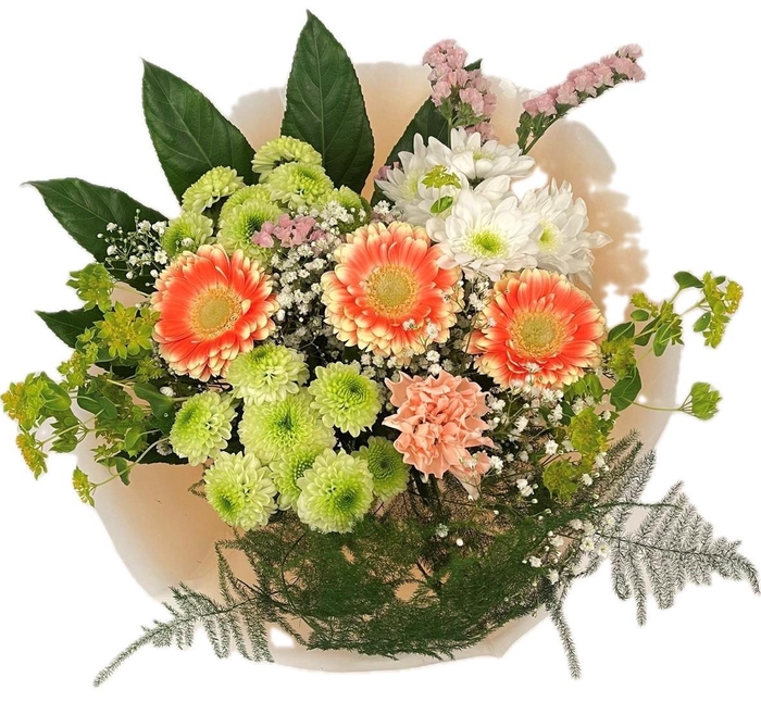 <h4>Bq Barbotine M</h4>